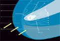 structure of a comet