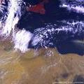 Vegetation image of Libya