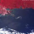 Gulf of Mexico oil slick
