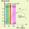 Graphs of spectral signatures of water, soil and vegetation