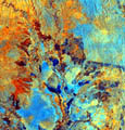 ERS-2 multitemporal image over East Kilimantan