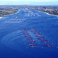 Salmon farms in Chile