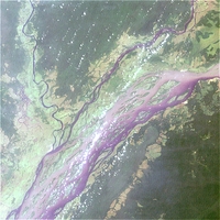 Landsat image showing the Congo River Basin