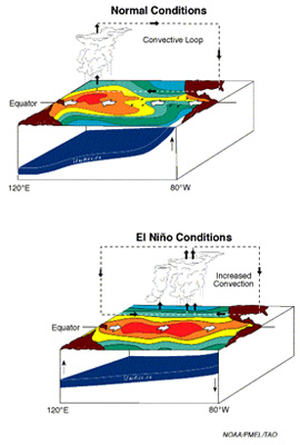 Normal and El Niño situations in Pacific Ocean