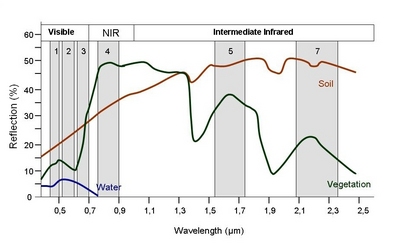 Spectral signatures