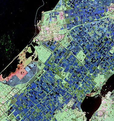 Radarsat-2 image of Flevoland in the Netherlands