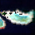 Heron Island