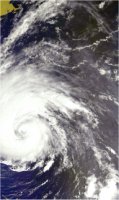 Isabel