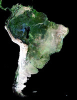 MERIS mosaic of South America, 2003