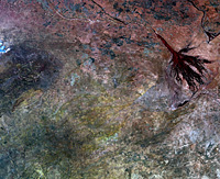 MERIS image of Namibia taken on 19 August 2007