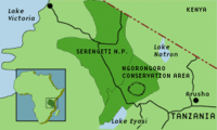 Ngorongoro Conservation Area