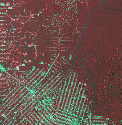 False colour image of the Rondonia area for 1989