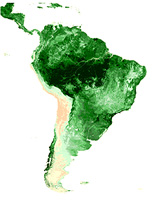 NDVI SPOT agosto 2000