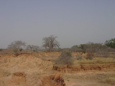 The Sahel - Changeover between desert and savanna