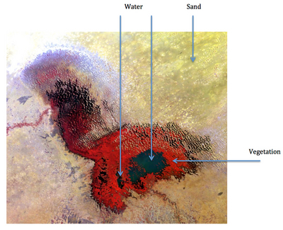 MERIS image with suggested  locations for drawing training field