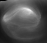 Venus’s dynamic vortex
