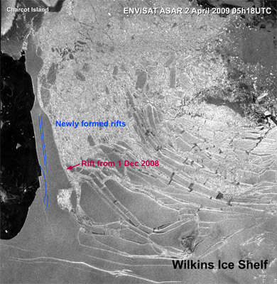 Envisat’s Advanced Synthetic Aperture Radar (ASAR) captured the early stage of the disruption of the ice bridge that connects the Wilkins Ice Shelf to Charcot and Latady Islands on 2 April 2009 at 05:18 UTC. The new rifts that developed along the length axis of the ice bridge are visible. The first detachment along these new rifts occurred about seven hours later. Credits: ESA (Annotations by A. Humbert, Münster University)