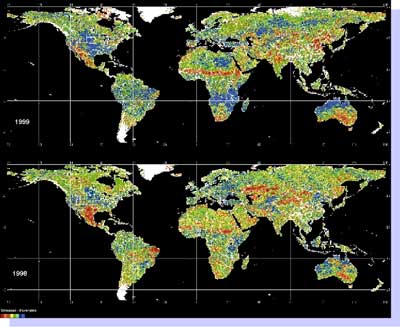 Vegetation comparisons from AVHRR