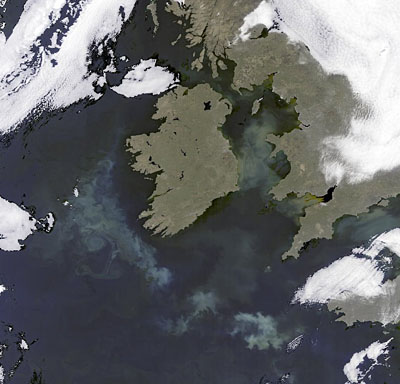 Phytoplankton bloom