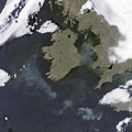 Phytoplankton bloom