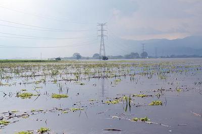 Damaged agricultural fields after extensive flooding