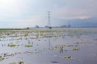 Damaged agricultural fields after extensive flooding