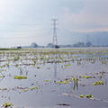 Damaged agricultural fields after extensive flooding