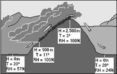 The Foehn wind