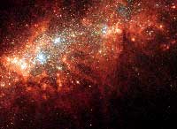 Nearby galaxy NGC 1569