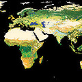 ESA’s global land cover map