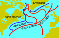 Warm and cold gulfstreams
