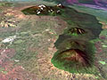 Gorilla territory