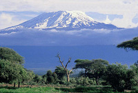 Snow on Kilimanjaro