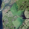 Satellites keep an eye on Dutch dikes