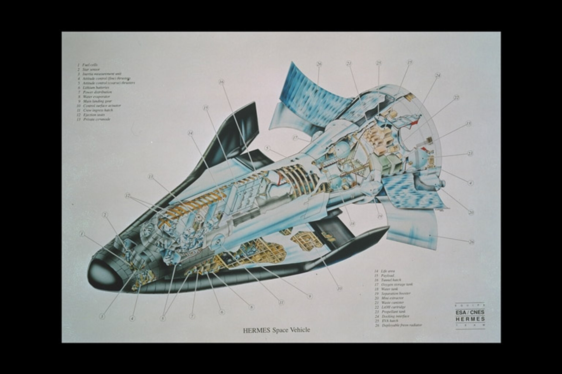 Hermes cutaway