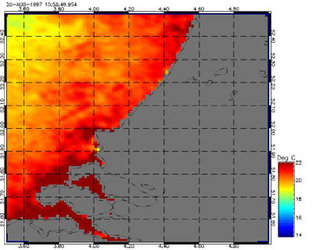 ERS temperature image of the Rhine, Germany