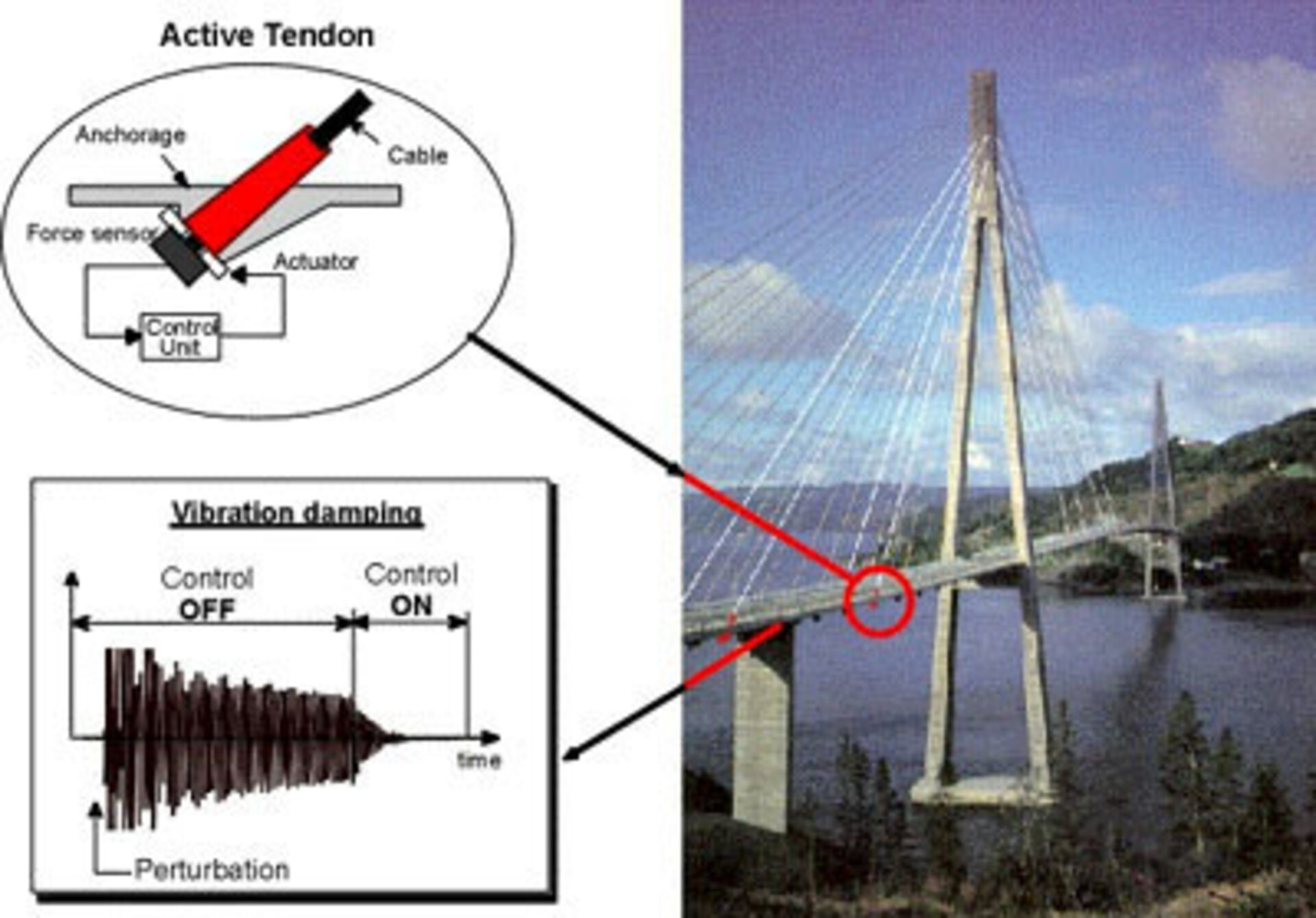 Active tendon control reduces bridge vibration