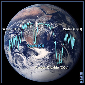 Ozone in a planet's spectrum may indicate the presence of life