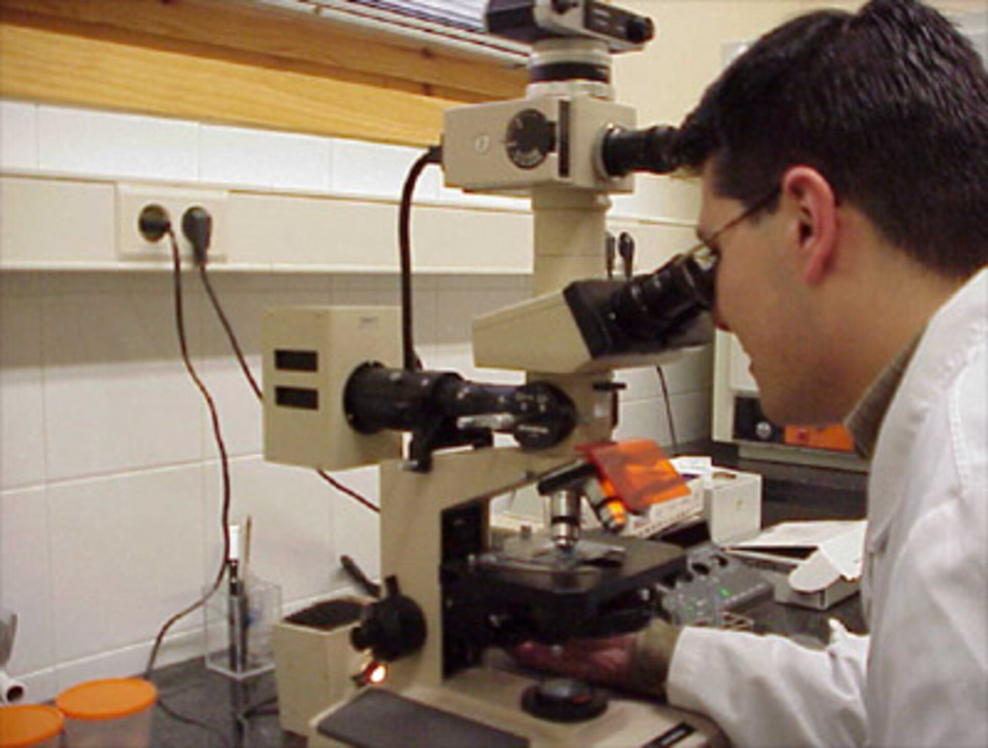 Microscope counting at Freixenet