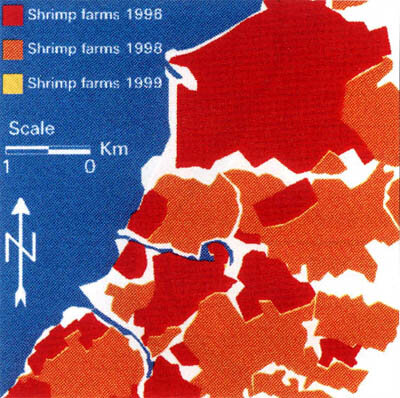 Map of shrimp farms in the Seguwantiyu test site