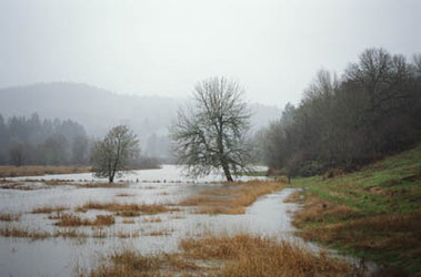 Wetlands