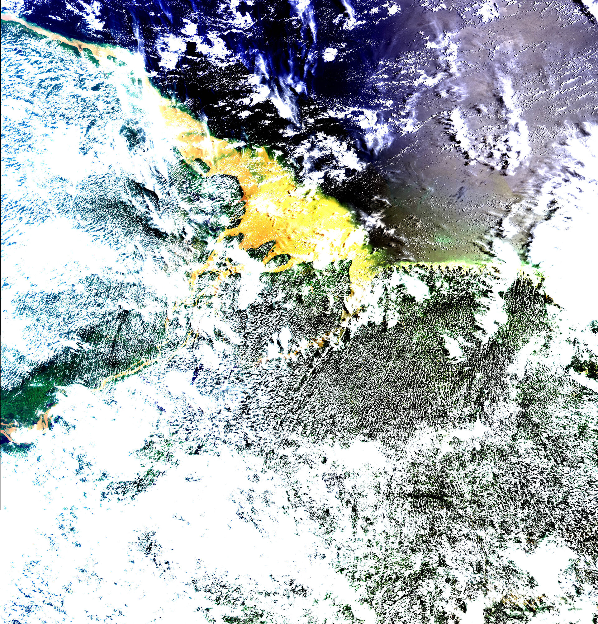 Meris image of the mouth of the Amazon,  25 March 2002