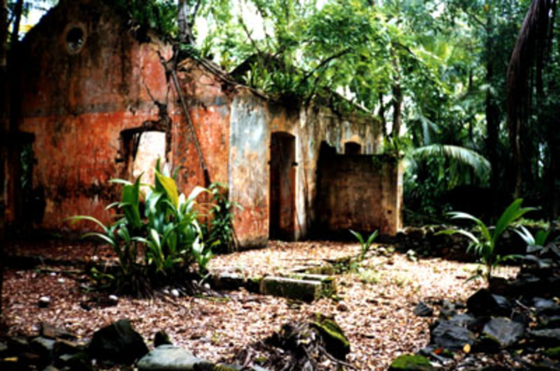 Ruins on Iles du Salut, French Guiana