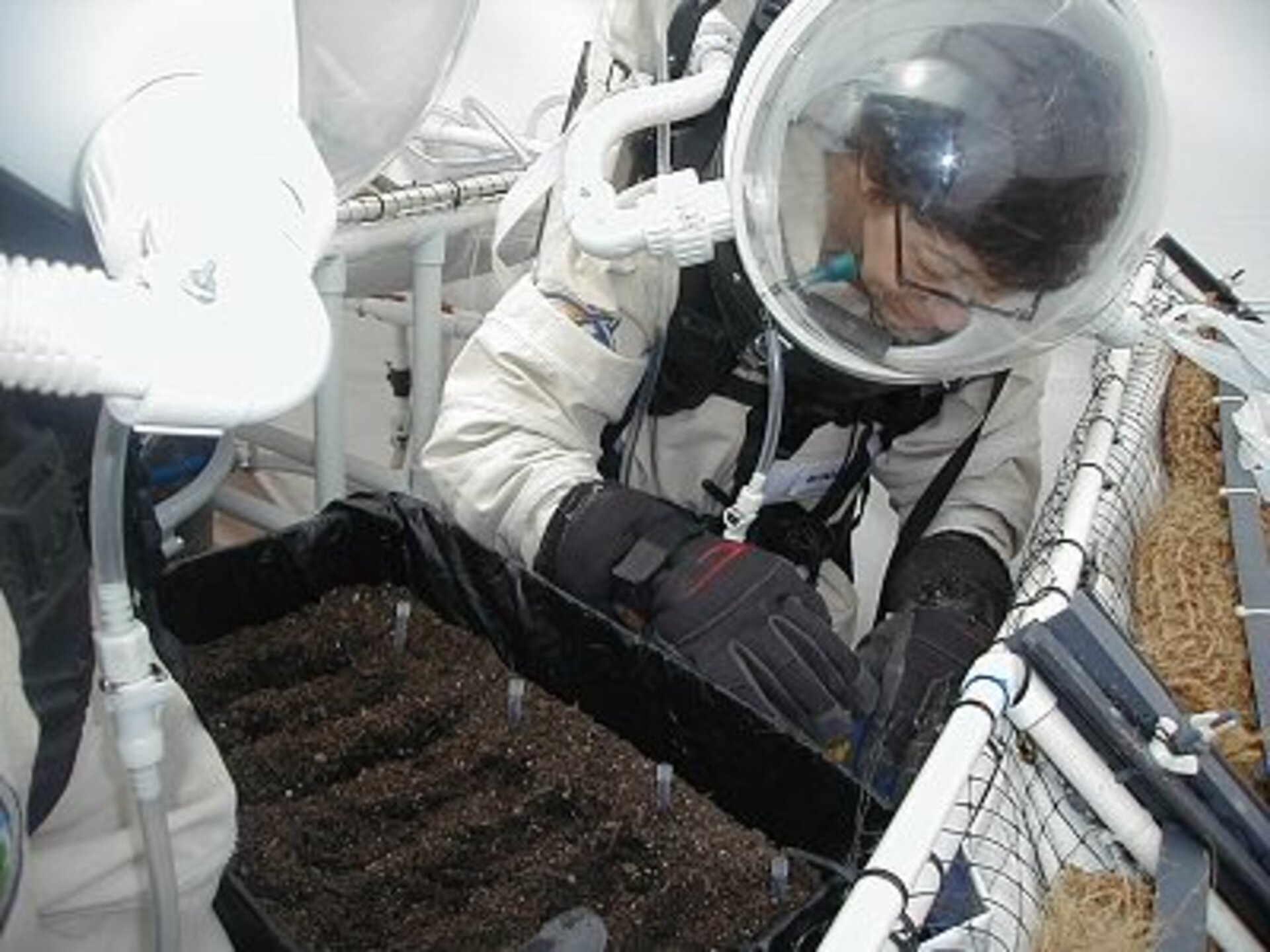 Preparing seeds to be planted in the greenhouse