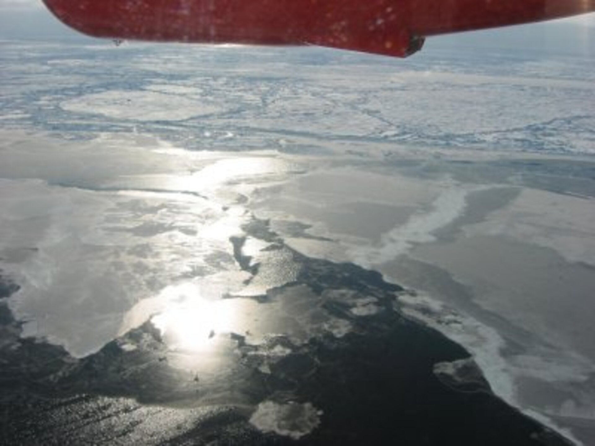 Arctic sea-ice with varying thickness and surface conditions