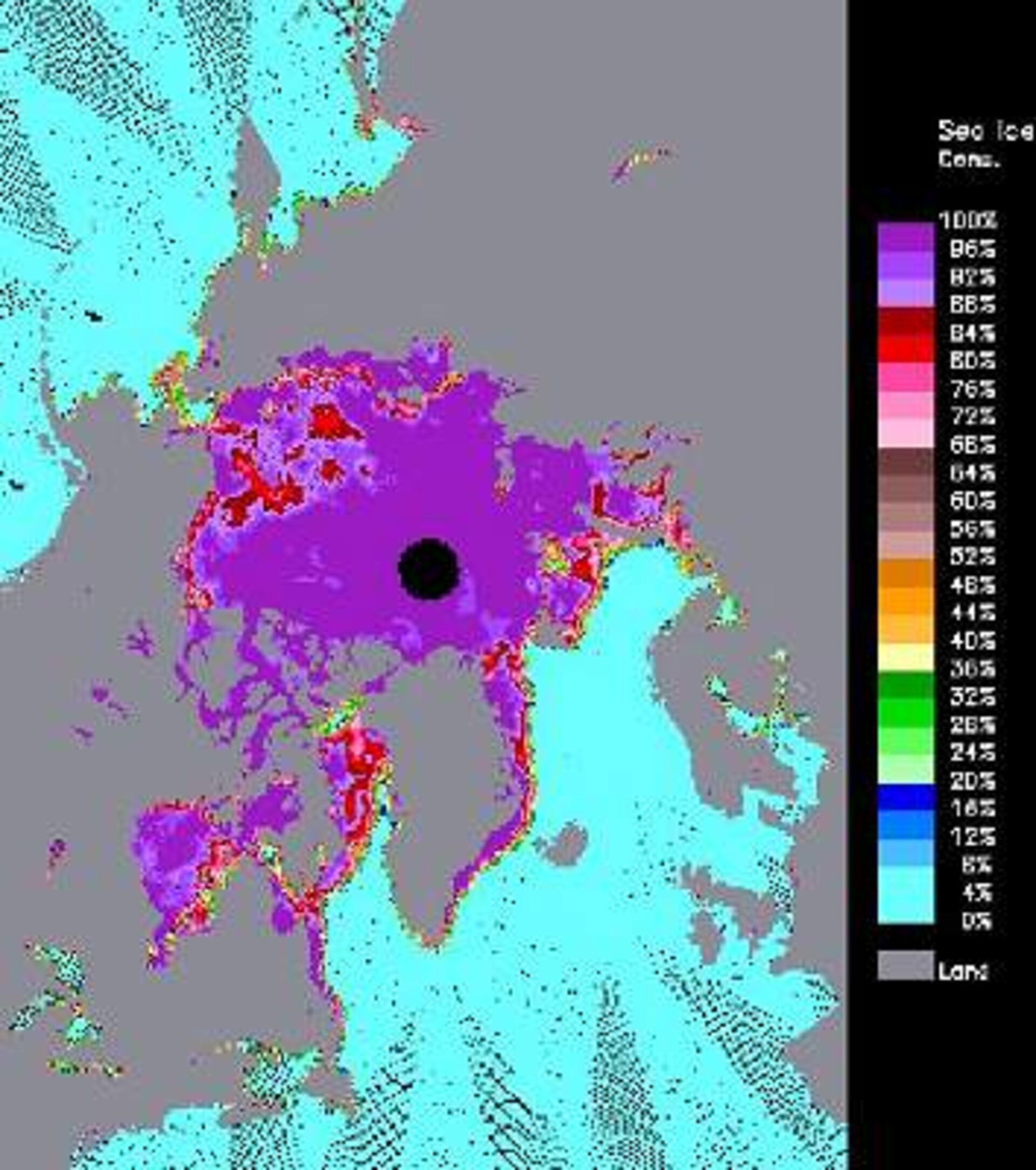 Arctic sea ice concentration on 20 May 2002 during the LaRA campaign in northern Greenland