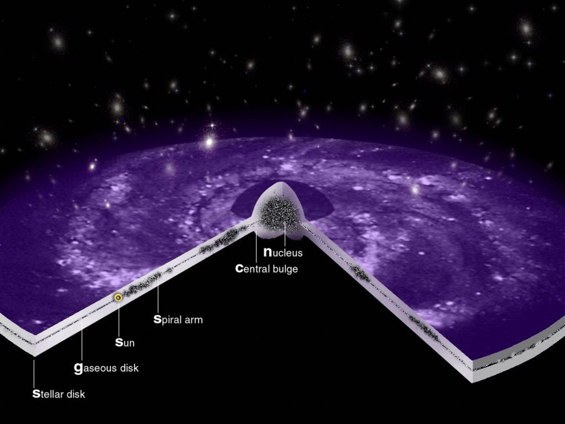 Cutaway diagram of our Galaxy