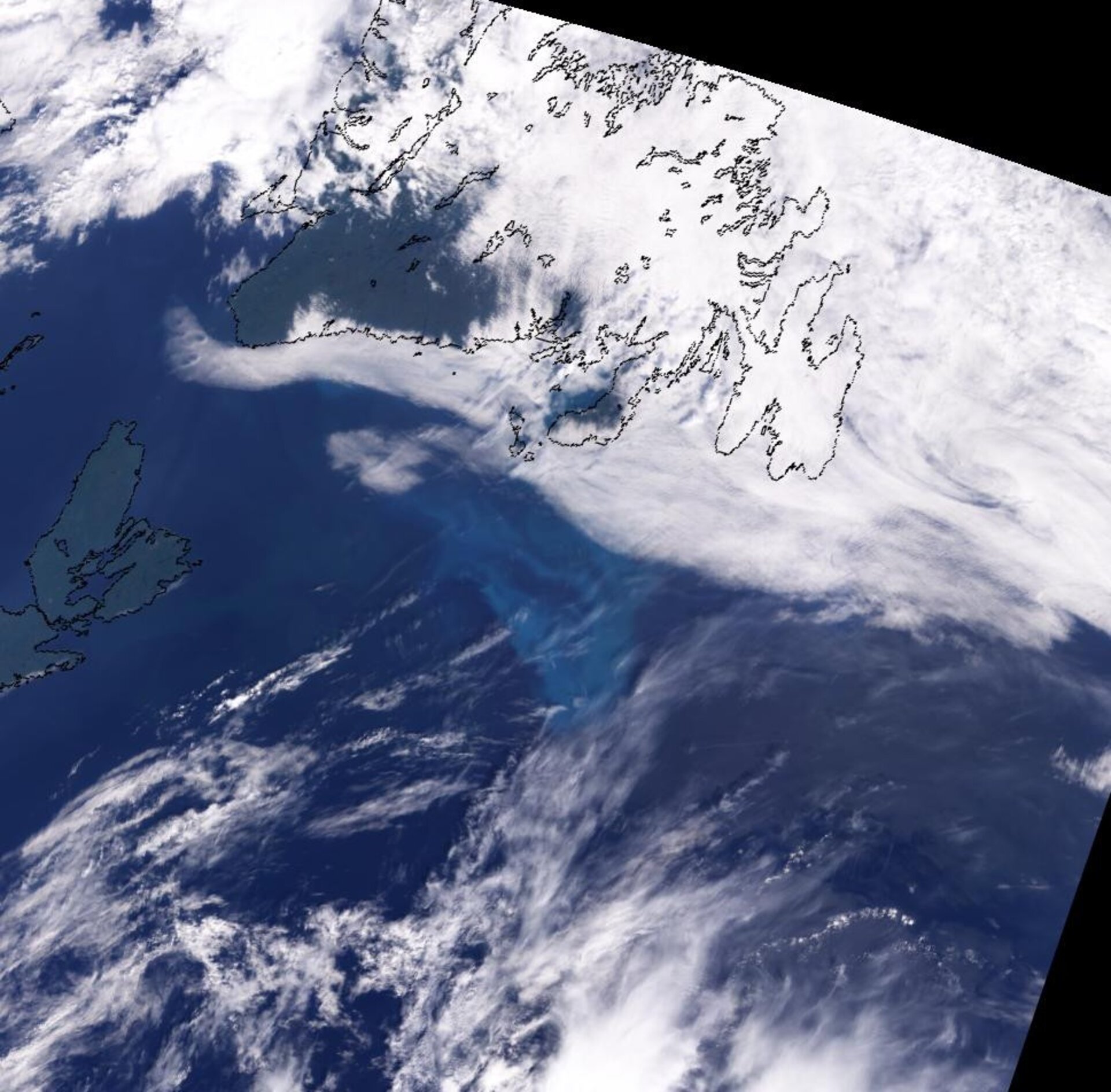 Algeopblomstring (det marineblå område) ud for Canadas østkyst 10. august 2002. Fanget af Envisat.
