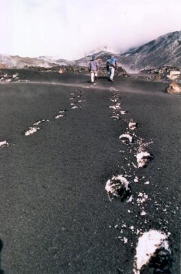 Footprints in the snow and ash