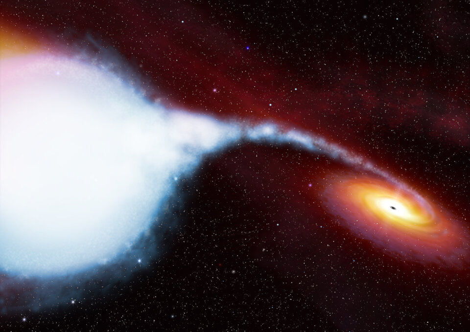 Cygnus X-1, à 10 000 années lumière de la Terre, exemple typique de binaire dont un des membres est un objet compact, en l'occurrence un trou noir